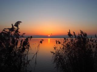 Hotel Le Tre Isole - Magione - 6