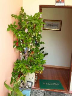 R&E Bed & Breakfast - Ivana - 1