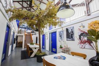 Kings Inn City Hostel - Alkmaar - 8