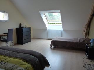 La maison verte - Agon-Coutainville - 6