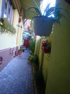 Sonja's Nest - Sibiu - 4