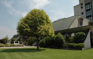 Hotel Cavallino - Faenza - 0