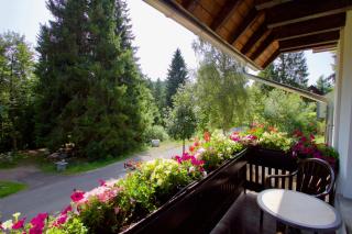 Haus Sonneck - Schluchsee - 3