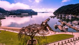 Picton Waterfront Penthouse - Picton - 9