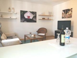 Apartamento Ossuna - La Laguna - 3