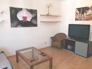 Apartamento Ossuna - La Laguna - 4