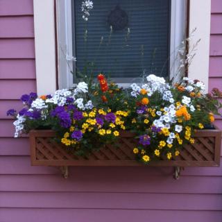 Rose & Thistle Bed & Breakfast - Cooperstown - 3