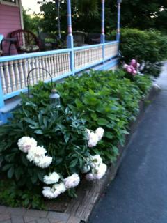 Rose & Thistle Bed & Breakfast - Cooperstown - 5