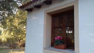 Agriturismo La tanca - Berchiddeddu - 7