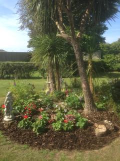 Pentigili - St. Davids - 5