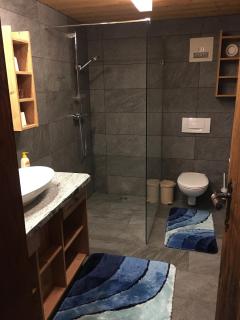Appartement Rossalm mit Sauna - Alpbach - 7