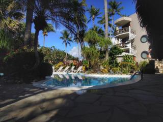 El Magnifico - Cabarete - 8