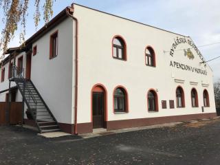 Rybářská restaurace a penzion u Horáků - Uničov - 9