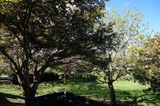 Haven Suite Luxury 5 Star - Queenstown - 1