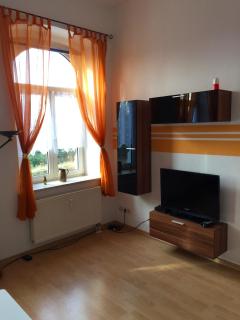 Ferienwohnungen Plauen - Plauen - 7