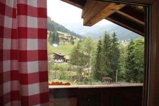 Apartment Sagtaler Spitze - Alpbach - 5