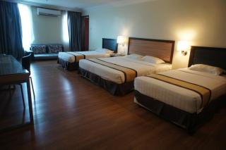 Tyng Garden Hotel - 7