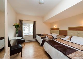 Golders Green Hotel - London - 5
