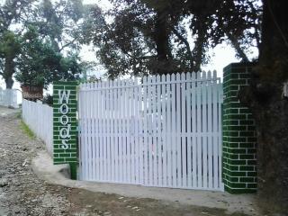 The Woods - Nainital - 6