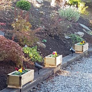 Bear Lodge - Auchterarder - 9