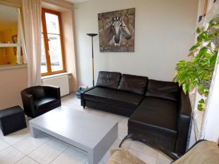 Gite hyper centre 10 pers - Colmar - 1