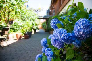Beate's Bed & Breakfast - Münzenberg - 8
