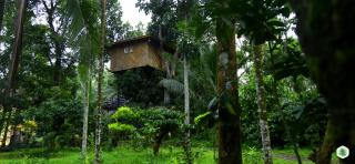 Hiliya Resort - Kenichira - 2