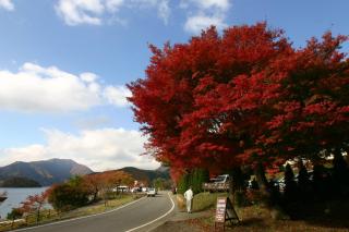 Villa May Queen - Fujikawaguchiko - 3