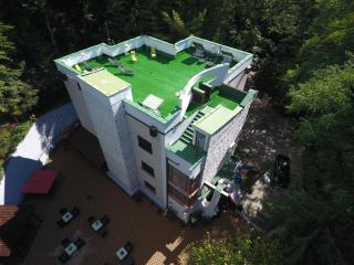 Former Ceausescu's Vila Crizantema - Băile Govora - 4