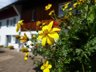 Ferienwohnung Rupp - Sibratshofen - 6
