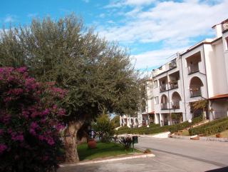Uliveto - Gioiosa Marea - 5