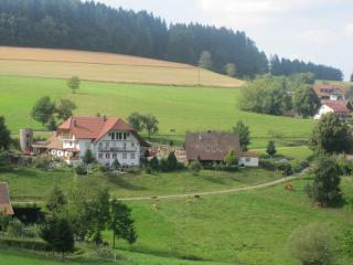 Dischhof - 3