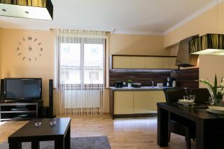 VIP Apartamenty Tetmajera Centrum 2 - Zakopane - 4