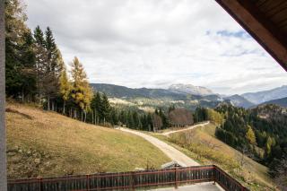 Turistična kmetija Perk - Solčava - 2