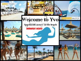 Yvo Lioness & Mamaia Nord - Mamaia Nord – Năvodari - 9