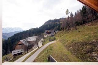 Turistična kmetija Perk - Solčava - 8
