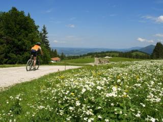 graublau - Grassau - 8