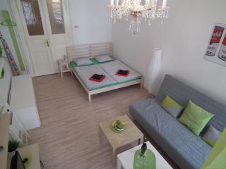 Apartment in the centre - Prague - 8