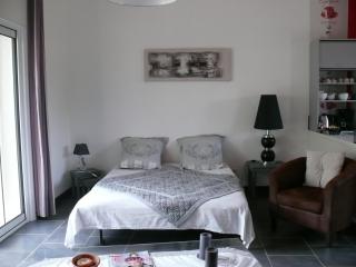 Les Karakis, piscine au sel, jardin 5000m2 - Les Arcs-sur-Argens - 2