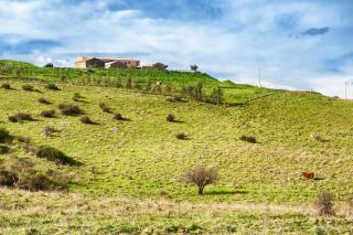 Agriturismo Case Tabarani - 5