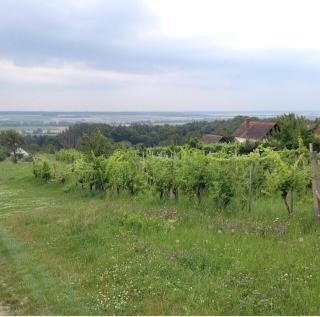 Altes Presshaus - 1