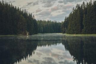 Blickinsfreie - Schöneck - 7