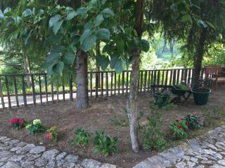 Quinta da Cartida - Santa Marinha do Zêzere - 2