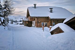 Villa Alpin - Kaltenbach - 6