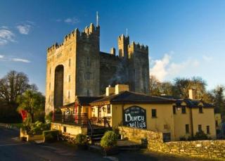 Bunratty Holiday Homes - 1