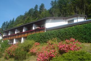 Pension Himmelreich - Glatt - 7