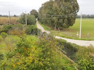 Villa Pietrina del Mejlogu - Fertilia - 3