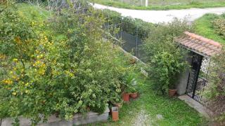 Villa Pietrina del Mejlogu - Fertilia - 5