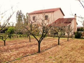 Villa Pietrina del Mejlogu - Fertilia - 9