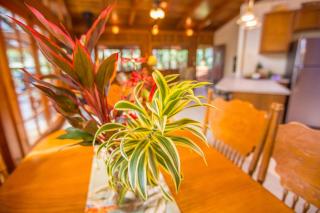 Hale Mauna Loa Upper Level with shared Hot Tub - Volcano - 6